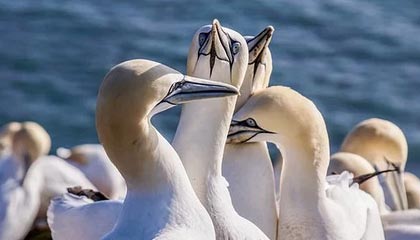 Kaiyun(中国)开云-青训投入与产出失衡矛盾突出，青训投入与产出失衡矛盾突出问题